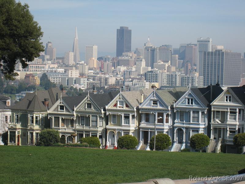 IMG_1600 Painted Ladies