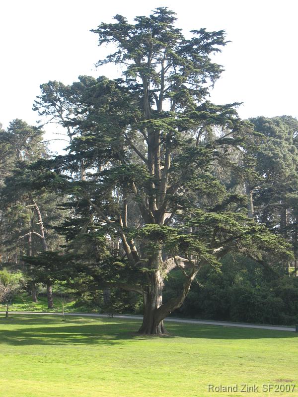 IMG_1622 Golden Gate Park